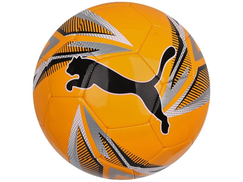 Puma ACM icon Mini Ball